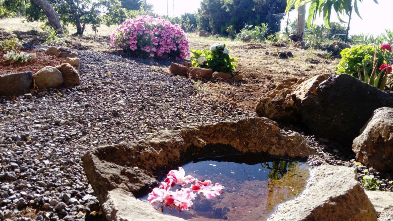 El Limonero Konuk evi Garafía Dış mekan fotoğraf